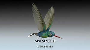 Humming Bird