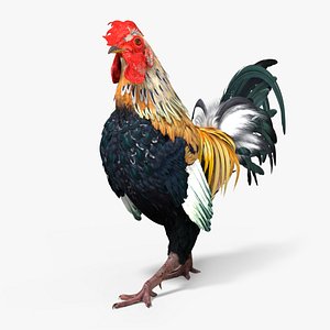 Rainbow Rooster Rigged For Blender model
