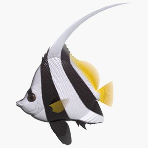 pennant coralfish 3d 3ds