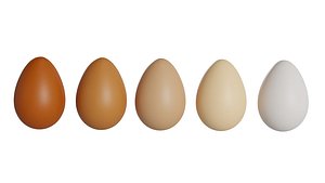 Realistic Eggs - 5 Variations