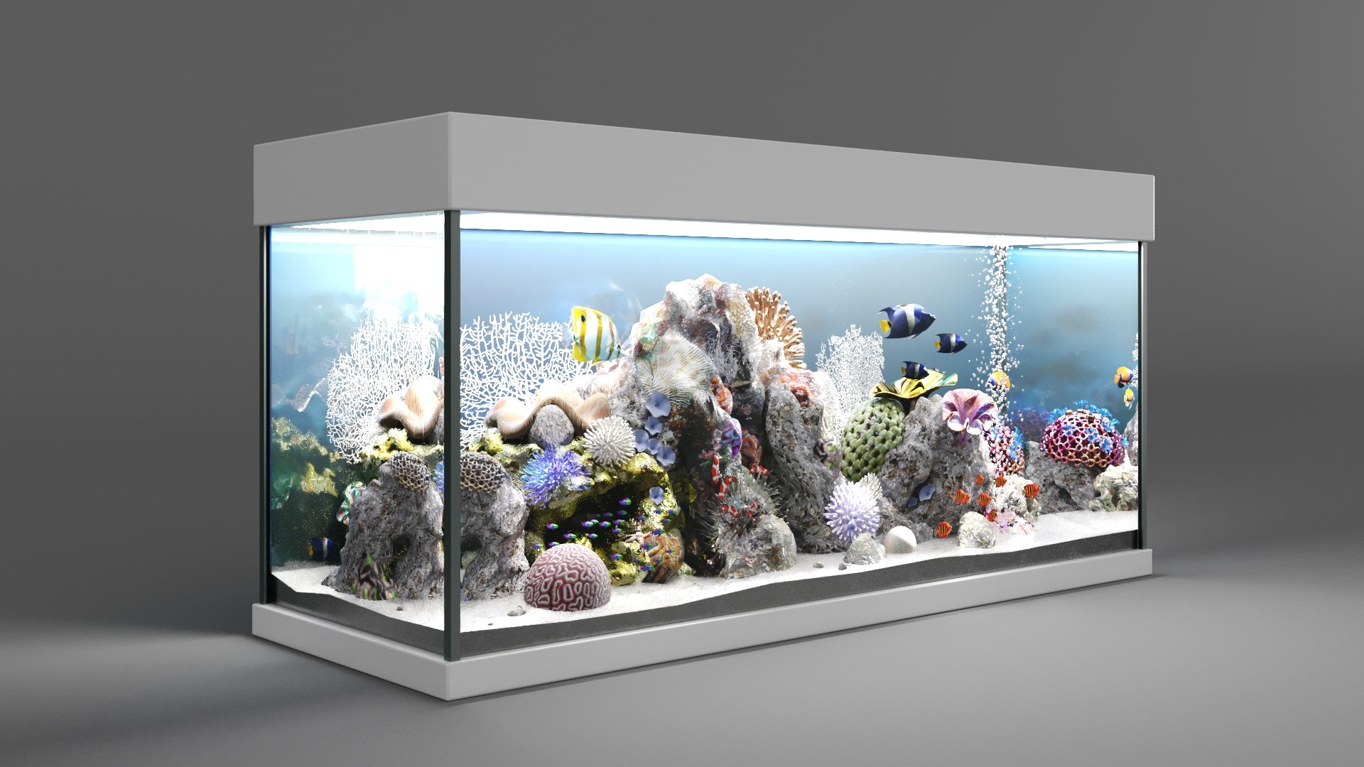 Compact Home Aquarium - Miniature Aquatic Ecosystem Model - 1 3D Model ...