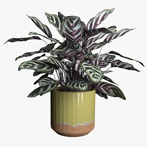 Lime colored ceramic terracotta pot model