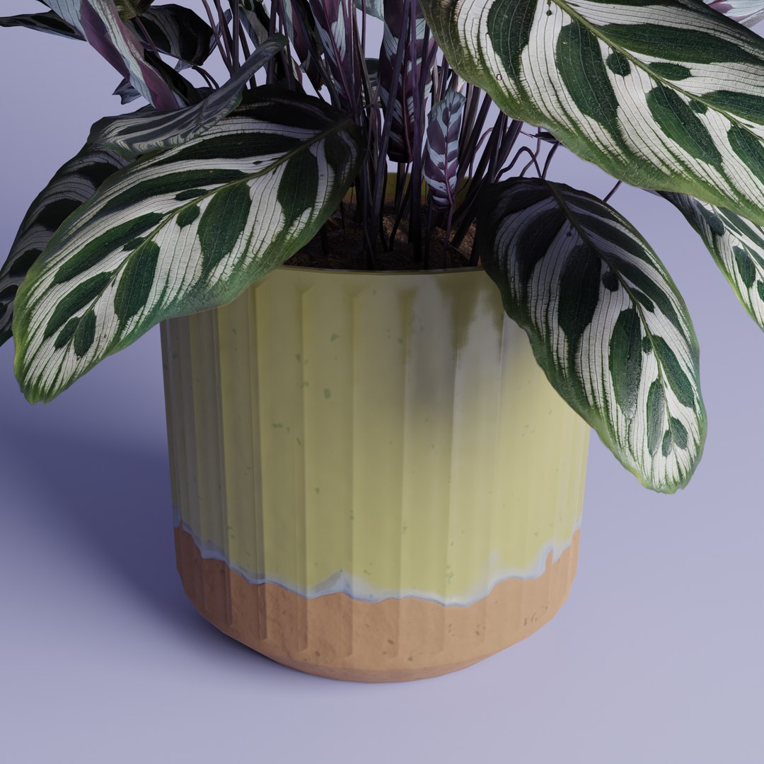 Free Lime Colored Ceramic Terracotta Pot Model - TurboSquid 2066132