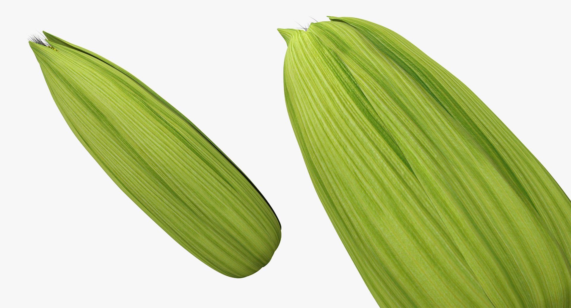 Vegetables Collection 6 3D https://p.turbosquid.com/ts-thumb/S2/Y6fOqo/4C/vegetablescollection6vray3dmodel147/jpg/1679498436/1920x1080/fit_q87/033b456bd5f387530150afb5333d9e858d6c5b99/vegetablescollection6vray3dmodel147.jpg