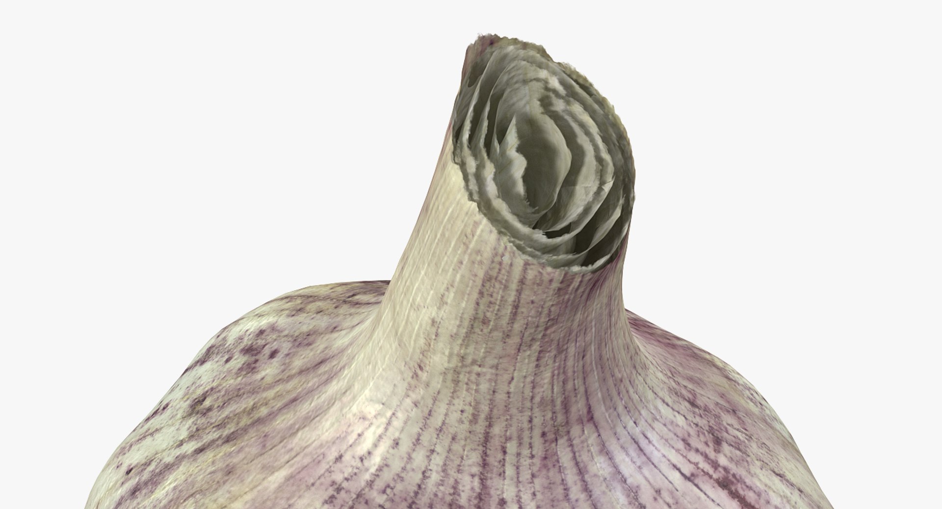 Vegetables Collection 6 3D https://p.turbosquid.com/ts-thumb/S2/Y6fOqo/BT/vegetablescollection6vray3dmodel110/jpg/1679498325/1920x1080/fit_q87/49f41c1035f3b0bfbb0bc6ca3a55746fa347903a/vegetablescollection6vray3dmodel110.jpg