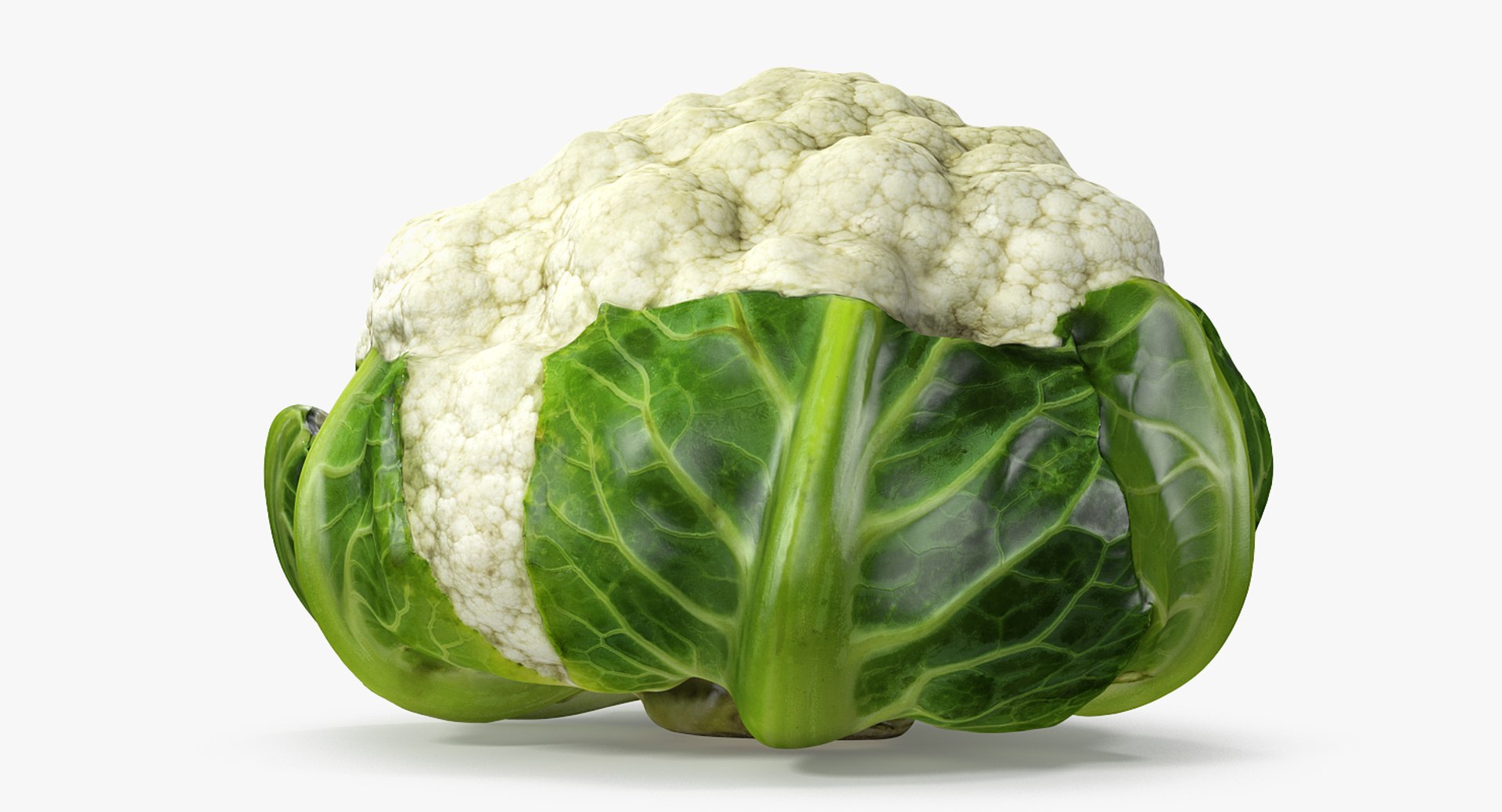 Vegetables Collection 6 3D https://p.turbosquid.com/ts-thumb/S2/Y6fOqo/Mr/vegetablescollection6vray3dmodel076/jpg/1679498224/1920x1080/fit_q87/3f760a9c730cdb76c2bbe34f4f71eae285a57b1d/vegetablescollection6vray3dmodel076.jpg