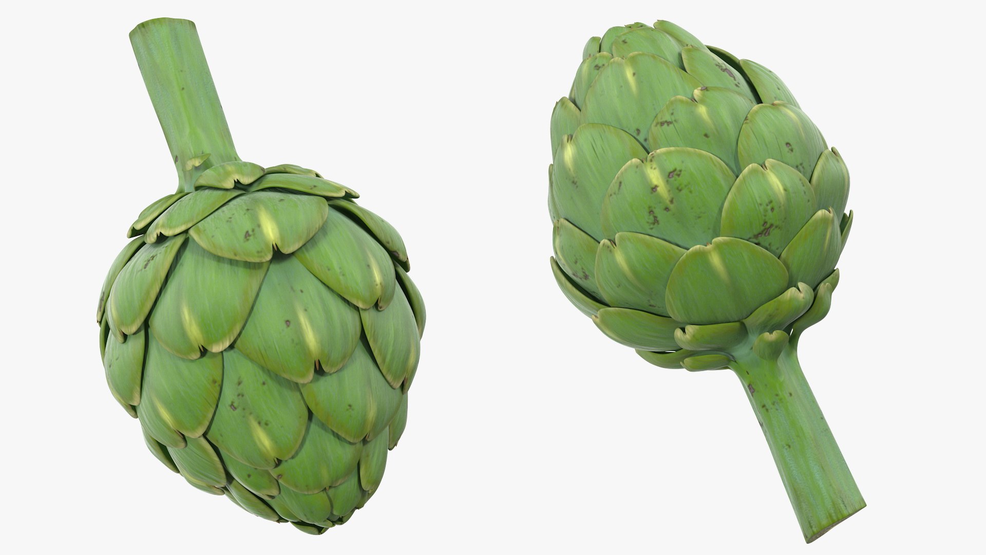 Vegetables Collection 6 3D https://p.turbosquid.com/ts-thumb/S2/Y6fOqo/Rx/vegetablescollection6vray3dmodel034/jpg/1679498092/1920x1080/fit_q87/f6164b0f7c9fb4965b26e4c72ac1a3ff216eb3f2/vegetablescollection6vray3dmodel034.jpg