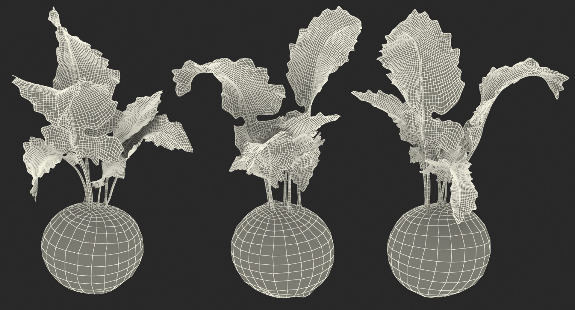 Vegetables Collection 6 3D https://p.turbosquid.com/ts-thumb/S2/Y6fOqo/Vk/vegetablescollection6vray3dmodel158/jpg/1679498469/1920x1080/fit_q87/99795a6ed4b48eb81df2a259cb56ed1f08088fdd/vegetablescollection6vray3dmodel158.jpg