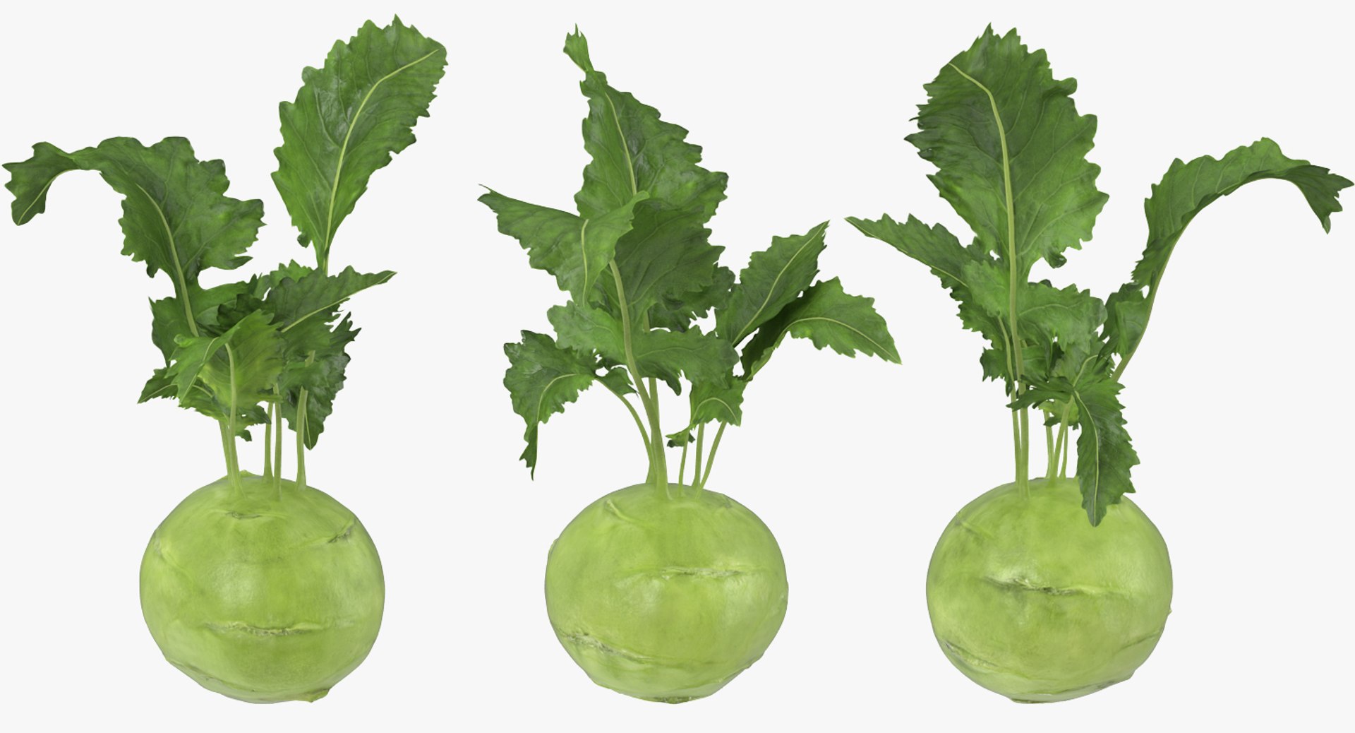 Vegetables Collection 6 3D https://p.turbosquid.com/ts-thumb/S2/Y6fOqo/kL/vegetablescollection6vray3dmodel071/jpg/1679498209/1920x1080/fit_q87/58a15adbd14b3eae1c4d643bc3b216103678cfad/vegetablescollection6vray3dmodel071.jpg