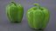 Vegetables Collection 6 3D