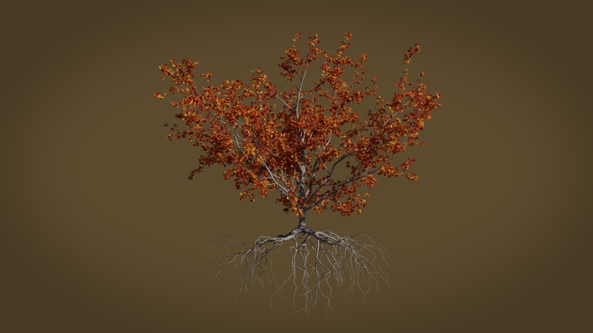 3D maple autumn 4 tree bark https://p.turbosquid.com/ts-thumb/S2/mUi8Bg/6ZXBjfef/01/jpg/1574165026/1920x1080/turn_fit_q99/28550c73e35ae10314837aaa4cc12a2d32331e56/01-1.jpg
