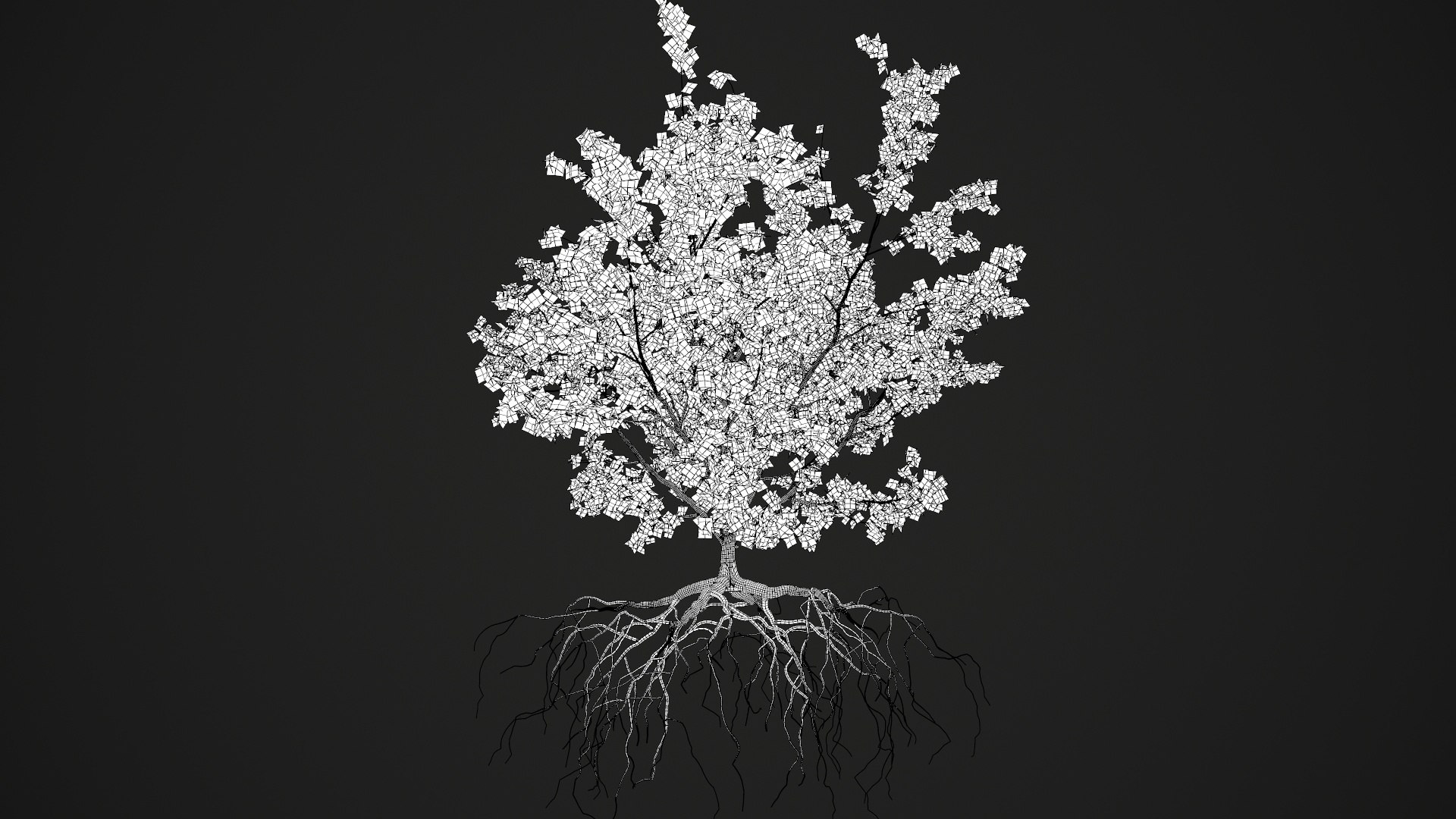 3D maple autumn 4 tree bark https://p.turbosquid.com/ts-thumb/S2/mUi8Bg/8apPONOo/wire2/jpg/1574164963/1920x1080/fit_q87/98da2c9ed25901c80c8550fca974a4a345a99e1e/wire2.jpg