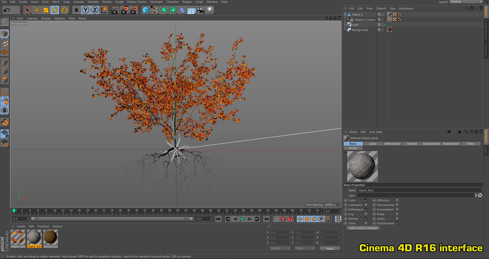 3D maple autumn 4 tree bark https://p.turbosquid.com/ts-thumb/S2/mUi8Bg/AJq21qen/screen_c4d/png/1574164963/1920x1080/fit_q87/7f2399fdbe94ee64caf26b065a57395c5b438fc5/screen_c4d.jpg