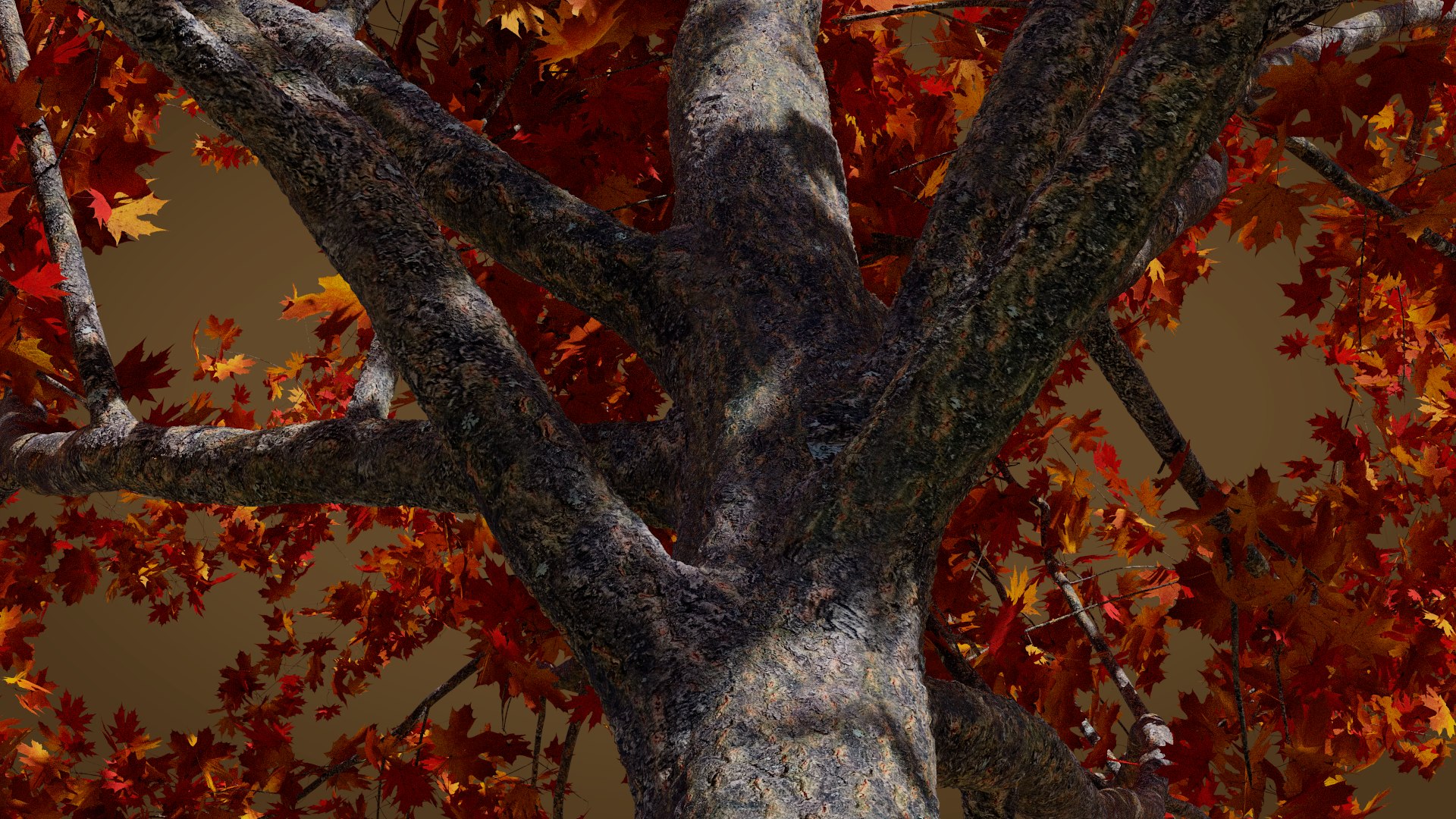 3D maple autumn 4 tree bark https://p.turbosquid.com/ts-thumb/S2/mUi8Bg/Wies1mkw/render11/png/1574164963/1920x1080/fit_q87/2694e5bbd728d7e9dc522f4b5305d39065db9f72/render11.jpg