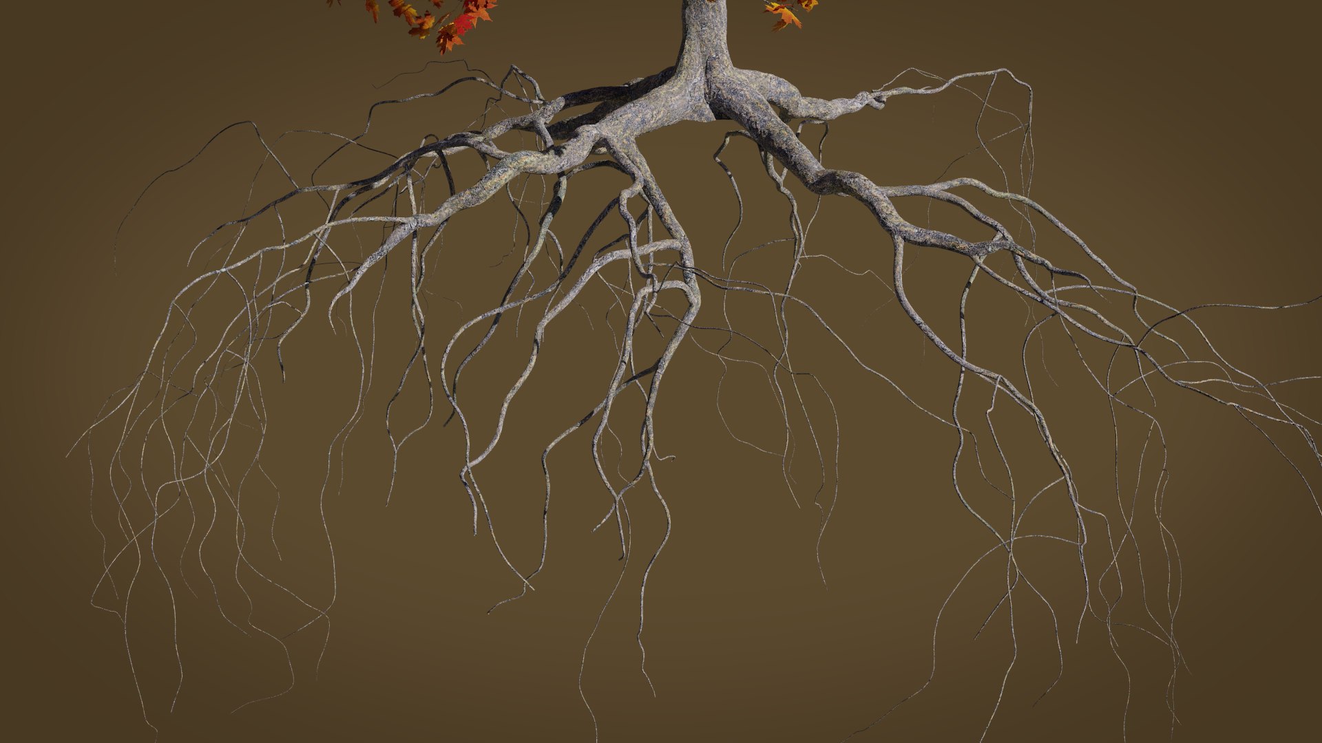 3D maple autumn 4 tree bark https://p.turbosquid.com/ts-thumb/S2/mUi8Bg/gG4ZOgwj/render7/png/1574164963/1920x1080/fit_q87/eb7846d0534c3fd28d0790602e765104a232eca2/render7.jpg