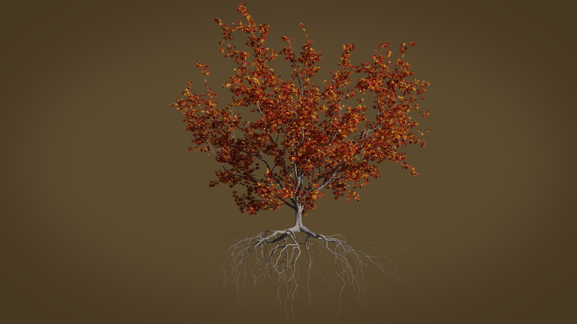 3D maple autumn 4 tree bark https://p.turbosquid.com/ts-thumb/S2/mUi8Bg/hIP7Wy4V/render4/png/1574164963/1920x1080/fit_q87/04465c39222d61f9d5aeb33b8515e5bdc6cdf9ae/render4.jpg