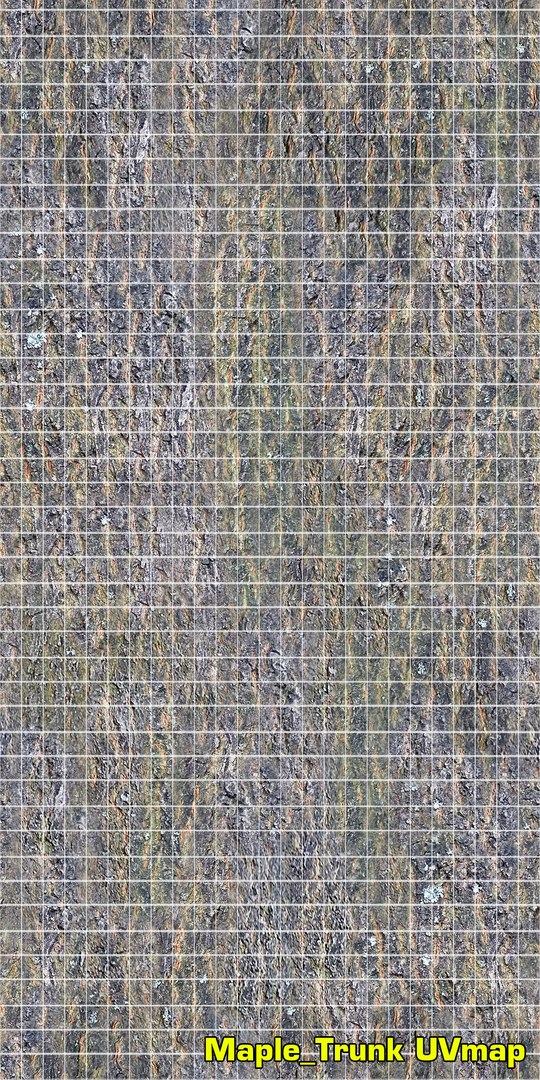 3D maple autumn 4 tree bark https://p.turbosquid.com/ts-thumb/S2/mUi8Bg/kdMgJdEK/uv_trunk/png/1574164963/1920x1080/fit_q87/8dc8416661a82c580e6157eedc059a8ed3c12139/uv_trunk.jpg
