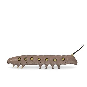 caterpilar6