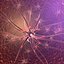 Brain Cell