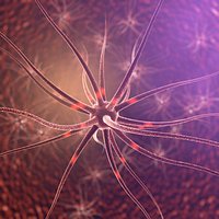 Brain Cell
