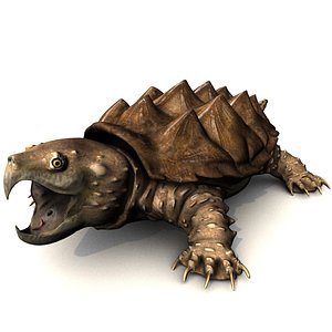 alligator snapping turtle model