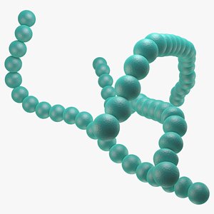 streptococcus pyogenes bacteria 3D model