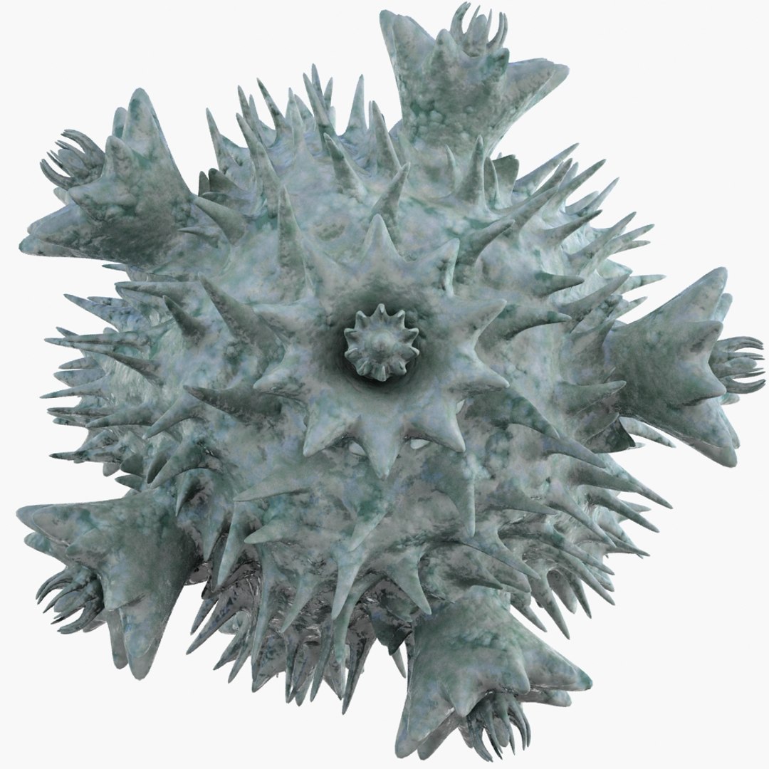 3d micro object mht model https://p.turbosquid.com/ts-thumb/S3/ZjZEEC/0thfVeAV/micro_object_mht047_ren02/jpg/1422274783/1920x1080/fit_q87/1b37a4cf34408b4e806d2705377f6a08bdee839b/micro_object_mht047_ren02.jpg