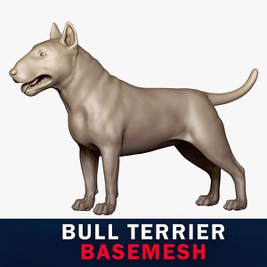 Bull Terrier Base Mesh 3D model 3D