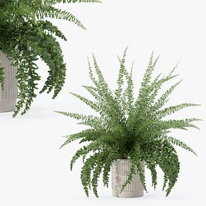 3D Fern in modern flower pot