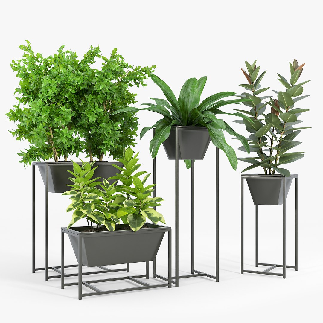 3D plant stand - TurboSquid 1652963