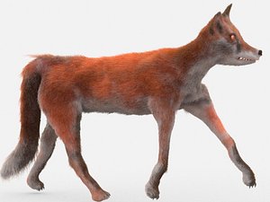3D realistic fox