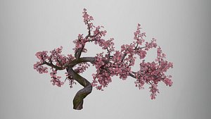 3D Ancient Style Plum Tree 3D Model