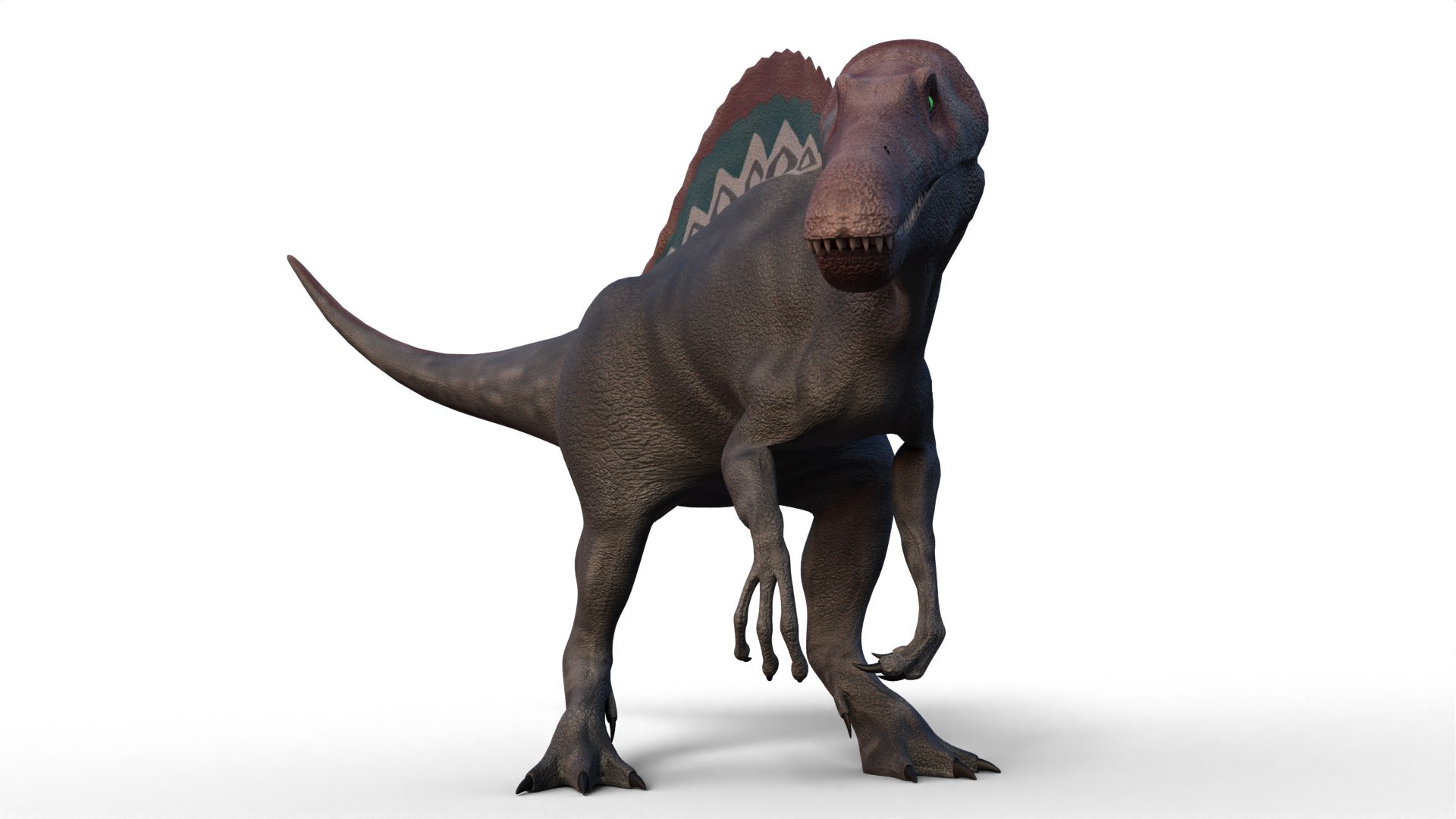 Dinosaur Bundle 01 3D model https://p.turbosquid.com/ts-thumb/S4/1Mhtq8/0U/spinosaurus_0004/jpg/1754320186/1920x1080/fit_q87/ab5f04ee40ad7c815f3b5548a0a740fb6d670494/spinosaurus_0004.jpg