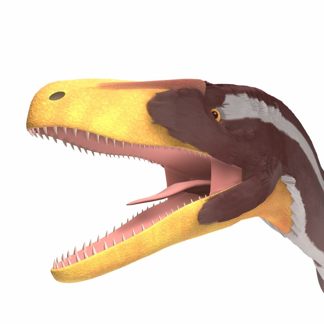 Dinosaur Bundle 01 3D model https://p.turbosquid.com/ts-thumb/S4/1Mhtq8/0n/aratasaurusfoto0002/jpg/1754320316/1920x1080/fit_q87/3c6fd86c1c59c1ae469b3d4fe8b56550aabc105d/aratasaurusfoto0002.jpg
