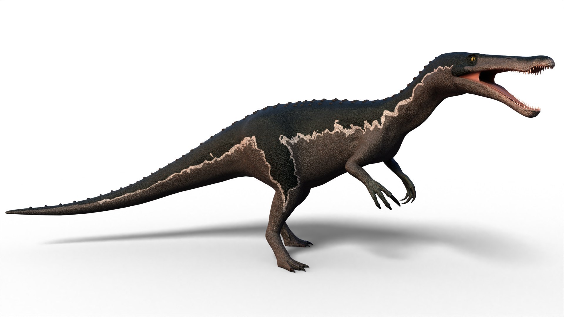 Dinosaur Bundle 01 3D model https://p.turbosquid.com/ts-thumb/S4/1Mhtq8/1Z/baryonyx_0004/jpg/1754320171/1920x1080/fit_q87/52a9ceb230d4043d0466434e34fcd98a6d85e426/baryonyx_0004.jpg