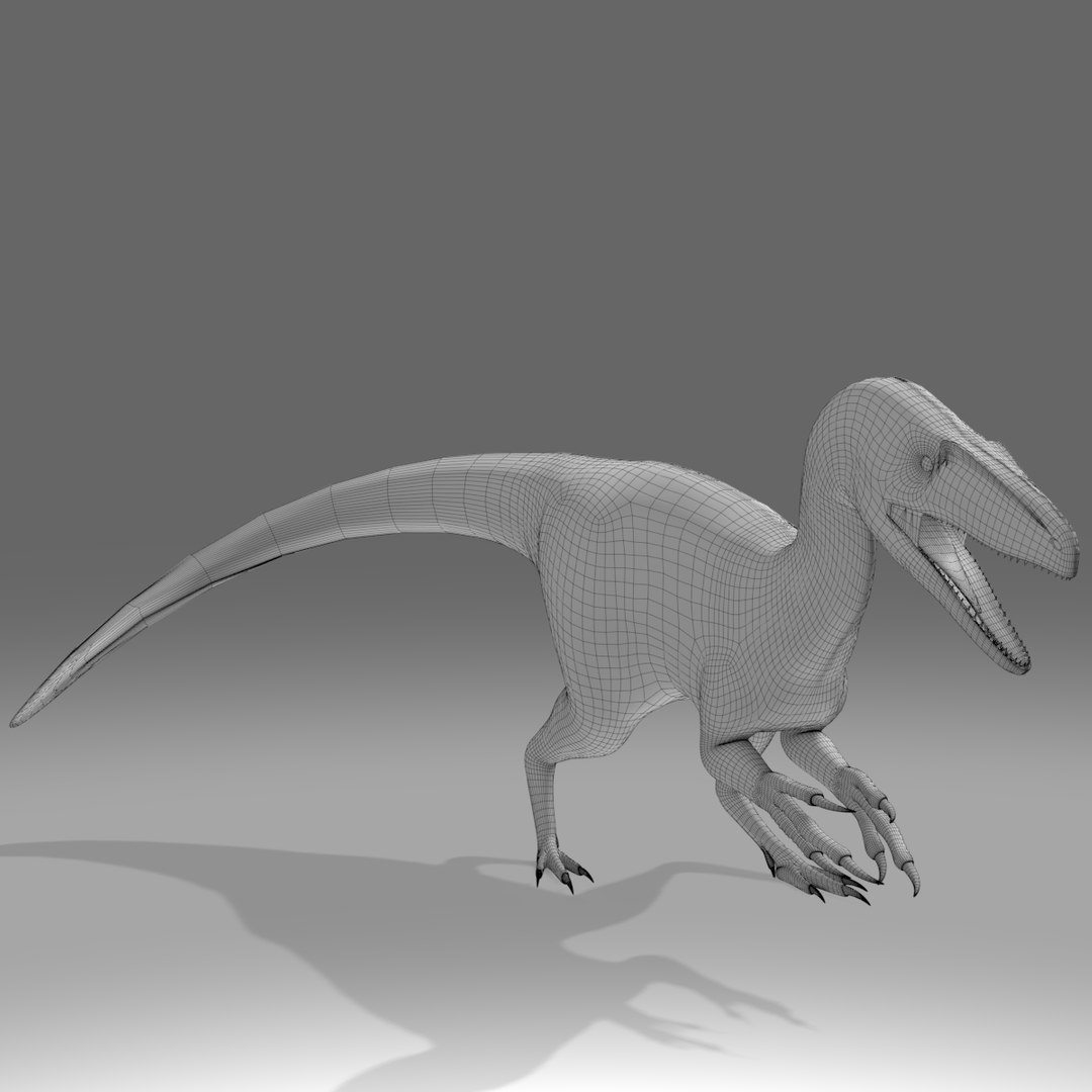 Dinosaur Bundle 01 3D model https://p.turbosquid.com/ts-thumb/S4/1Mhtq8/A6/aratasauruswire0000/jpg/1754320317/1920x1080/fit_q87/cd0e8e42b3beb82a397a8ed721fcd49211a88789/aratasauruswire0000.jpg
