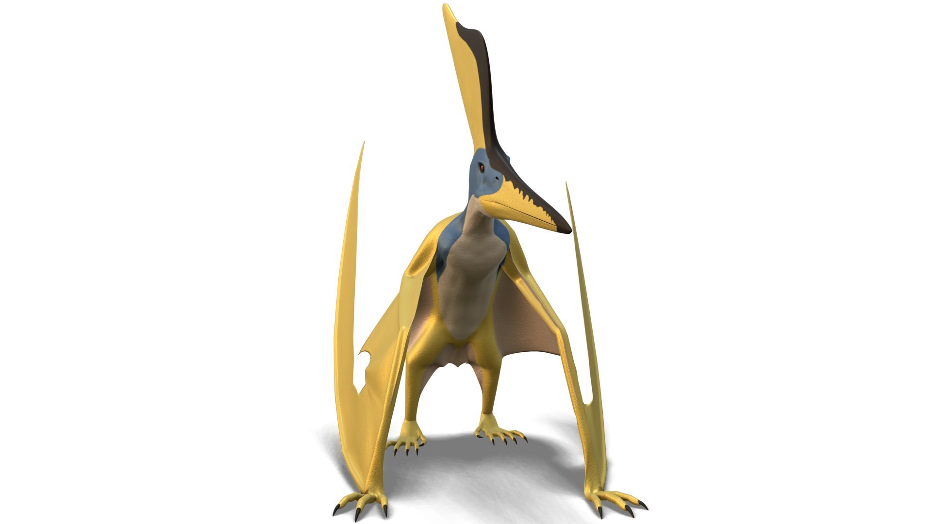 Dinosaur Bundle 01 3D model https://p.turbosquid.com/ts-thumb/S4/1Mhtq8/E1/geosternbergia_0006/jpg/1754320179/1920x1080/fit_q87/64dd9416a0fbe3bd963e2b26b9443aa095adc74f/geosternbergia_0006.jpg