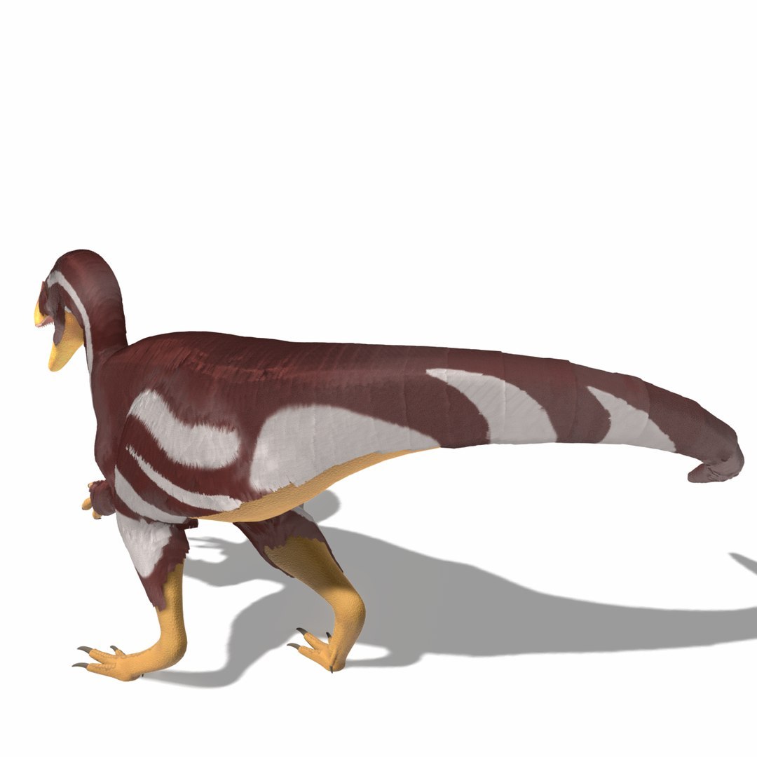 Dinosaur Bundle 01 3D model https://p.turbosquid.com/ts-thumb/S4/1Mhtq8/QG/aratasaurusfoto0001/jpg/1754320315/1920x1080/fit_q87/af5ccd30cf2429a09795e828f5c4d8f562e1c83d/aratasaurusfoto0001.jpg
