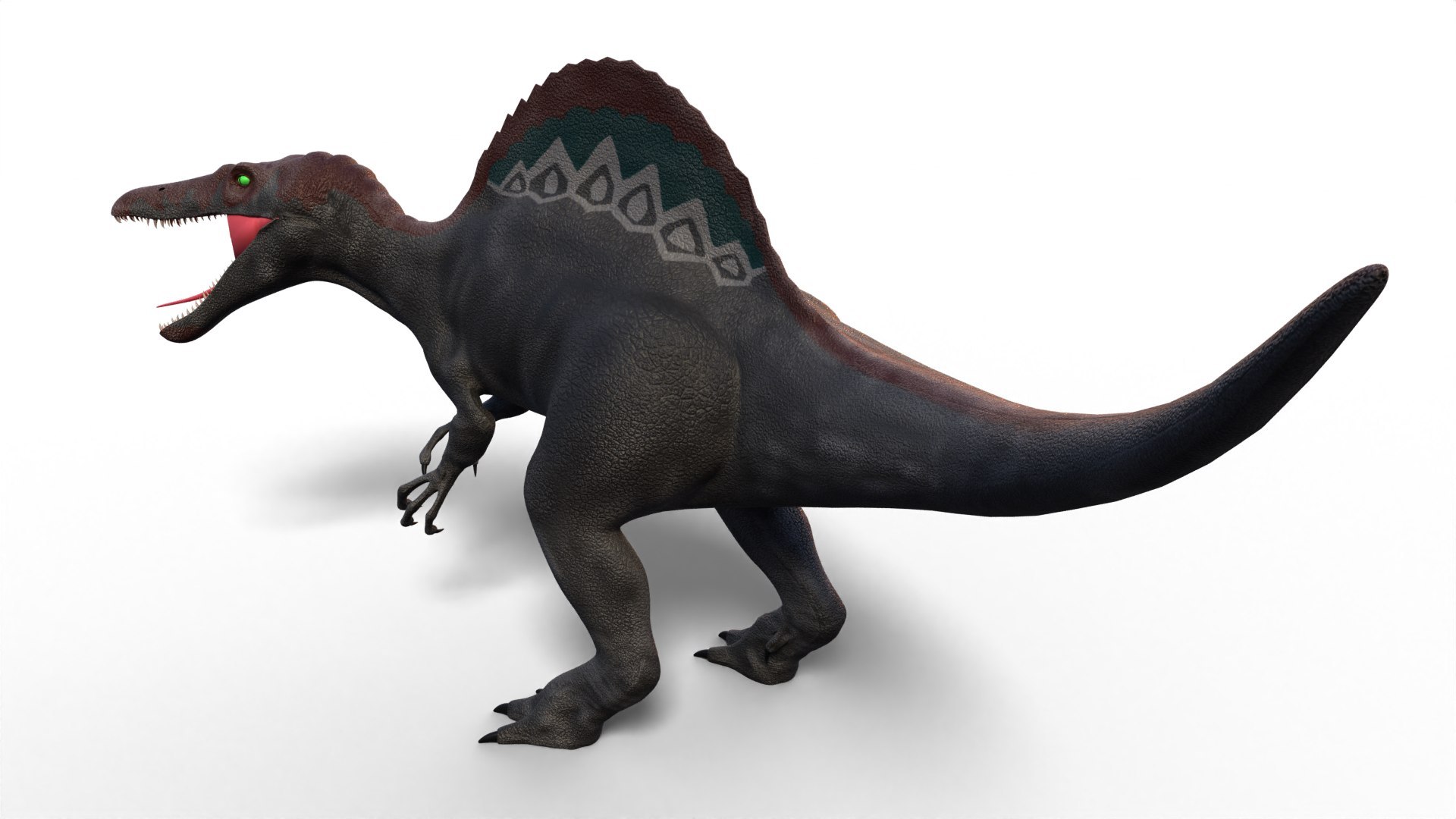 Dinosaur Bundle 01 3D model https://p.turbosquid.com/ts-thumb/S4/1Mhtq8/S7/spinosaurus_0002/jpg/1754320186/1920x1080/fit_q87/b82d1fe87fa3ede3a38cbd84649f9c70fa3c8d3b/spinosaurus_0002.jpg