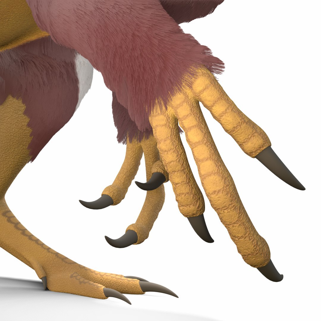 Dinosaur Bundle 01 3D model https://p.turbosquid.com/ts-thumb/S4/1Mhtq8/Tc/aratasaurusfoto0003/jpg/1754320317/1920x1080/fit_q87/fe784e973129eb36cbec5b55776e1e427dfef1c7/aratasaurusfoto0003.jpg