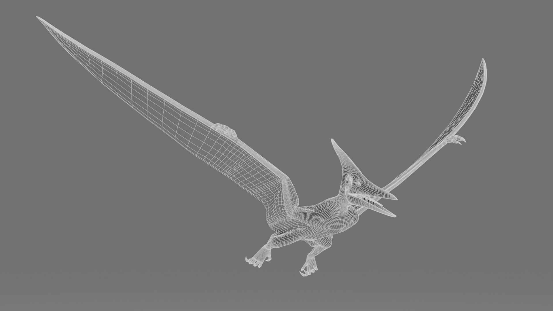 Dinosaur Bundle 01 3D model https://p.turbosquid.com/ts-thumb/S4/1Mhtq8/bw/pteranodon_wire_0001/jpg/1754320184/1920x1080/fit_q87/dd8389c8df184fb98a9fb2a75751289895d7afbc/pteranodon_wire_0001.jpg