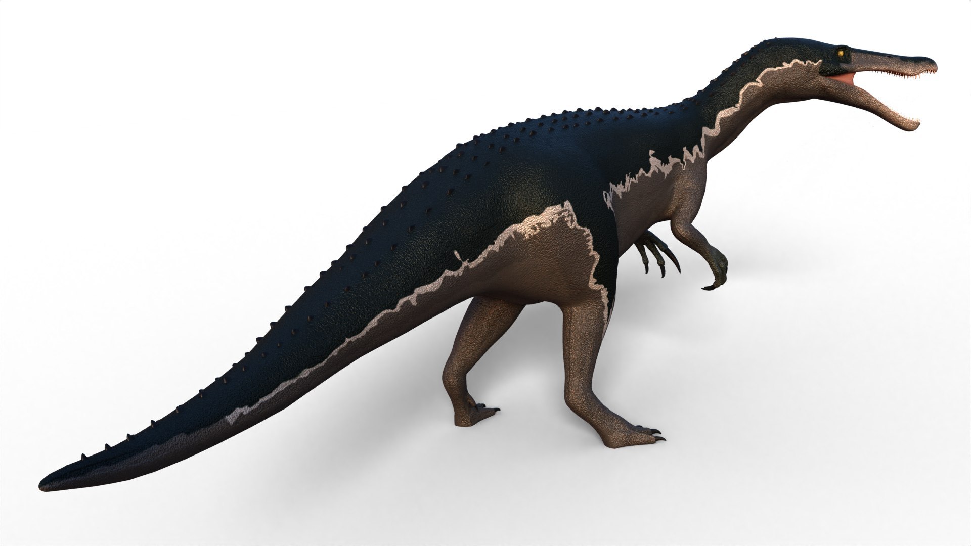 Dinosaur Bundle 01 3D model https://p.turbosquid.com/ts-thumb/S4/1Mhtq8/hl/baryonyx_0002/jpg/1754320171/1920x1080/fit_q87/338b4938d05a428c597bc05a1d075dbd149932ad/baryonyx_0002.jpg