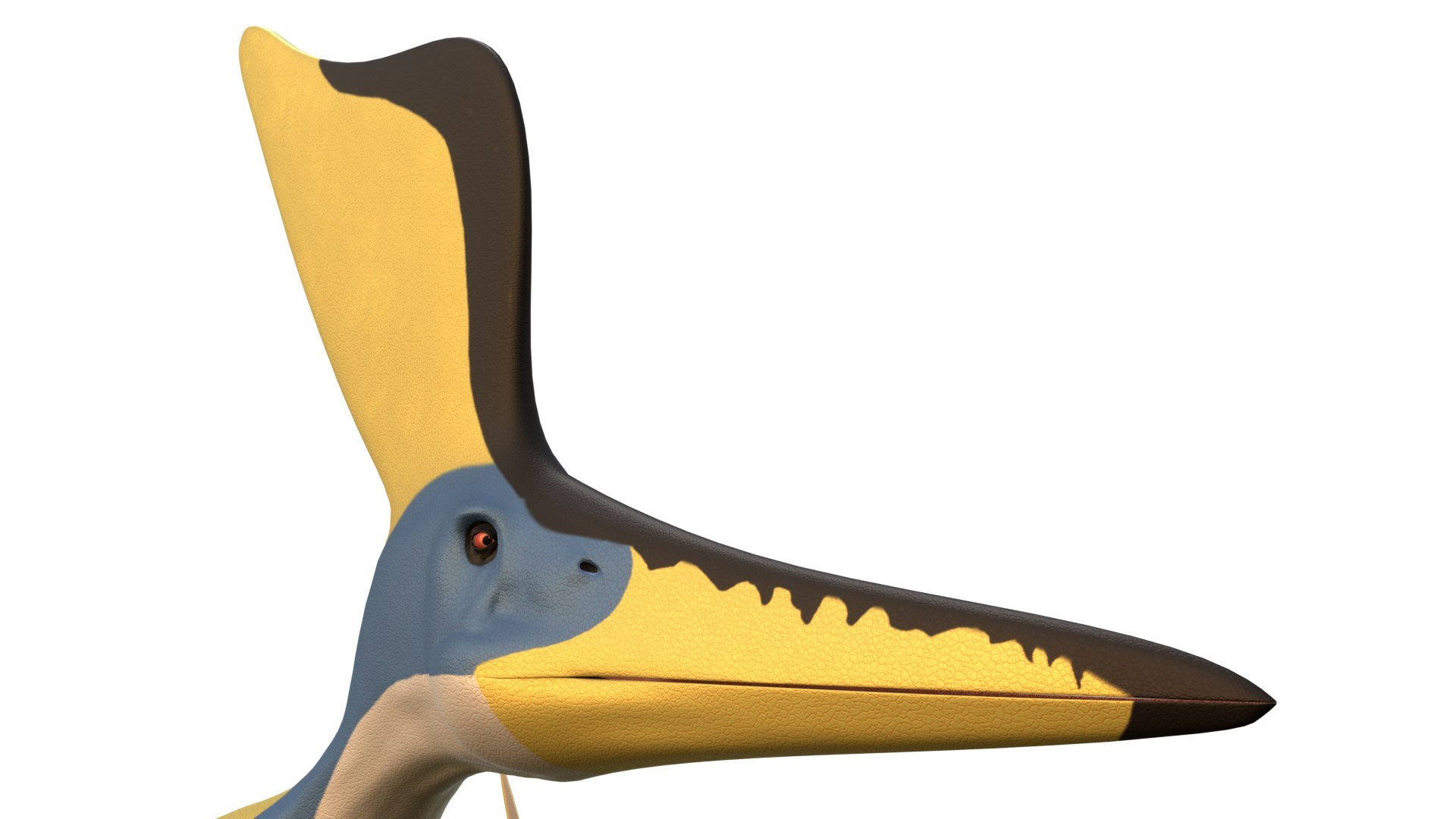 Dinosaur Bundle 01 3D model https://p.turbosquid.com/ts-thumb/S4/1Mhtq8/sC/geosternbergia_0008/jpg/1754320179/1920x1080/fit_q87/2f73430309bcf7afdef63700c4bef33606c32d65/geosternbergia_0008.jpg