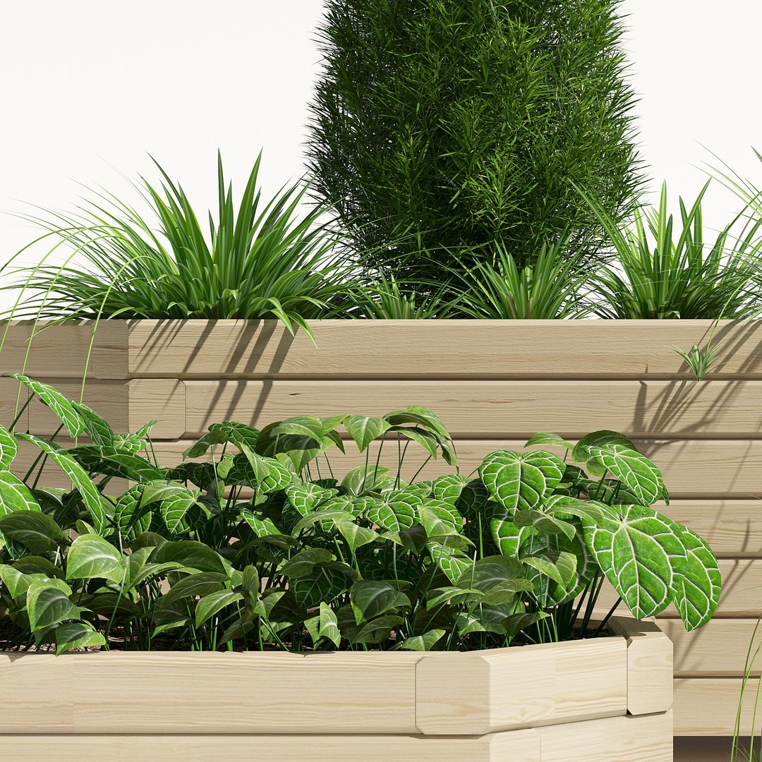 3D pine octagonal trough planter https://p.turbosquid.com/ts-thumb/S4/20Z0Ty/5LWZDw7R/tp_6/jpg/1517062373/1920x1080/fit_q87/28293da000ae2bcc10ee4e98067eaf45ec79e16b/tp_6.jpg