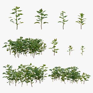 3D grass blender model