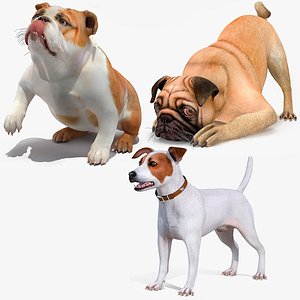 Small Dogs Rigged for Maya Collection