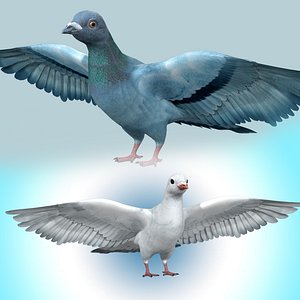 Pigeon and Dove Rig Collection