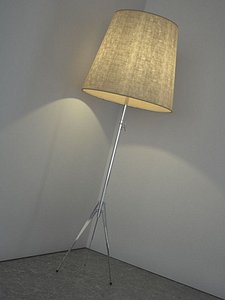 Metal Standing Lamp (2)