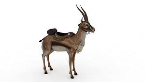 3D Gazelle