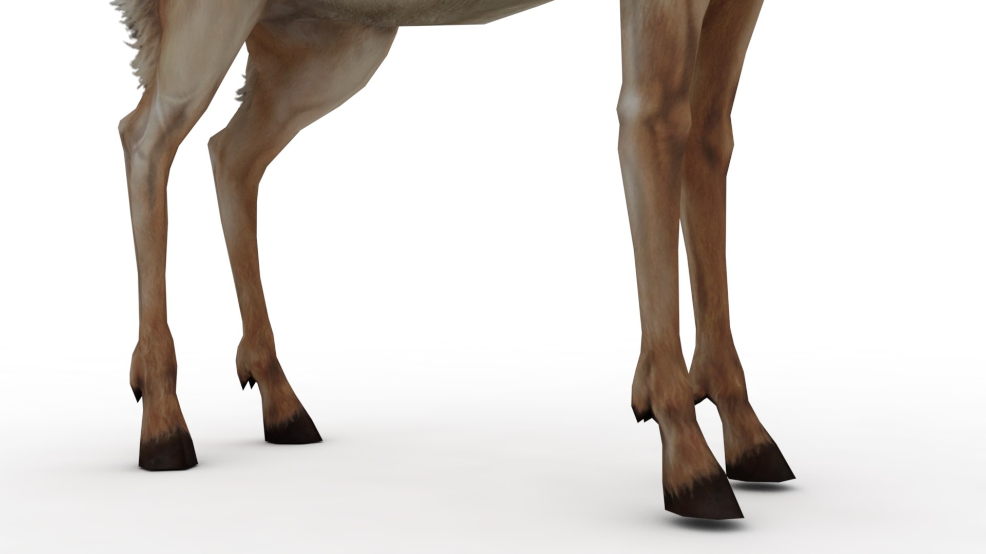 3D Gazelle https://p.turbosquid.com/ts-thumb/S4/V1A6TJ/7h/dfs0007/jpg/1727105622/1920x1080/fit_q87/3bcd9840a0c63378c179ef4f84809cd471a01546/dfs0007.jpg